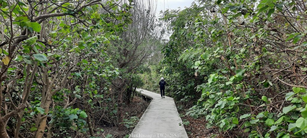 《彰化》海空夕照｜王功燈塔及芳苑海空步道健行賞冬候鳥20260110_2980246