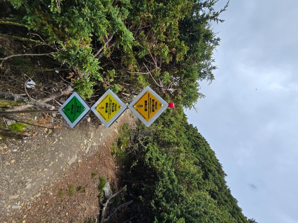 南玉山之行_2822764