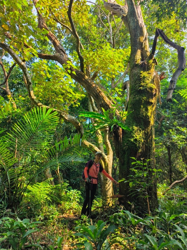 1120917 高石縱走_2284815