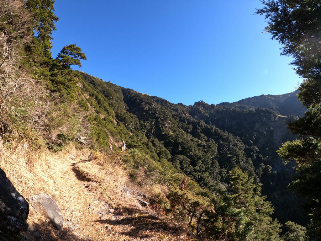 能高越嶺步道西段_796395