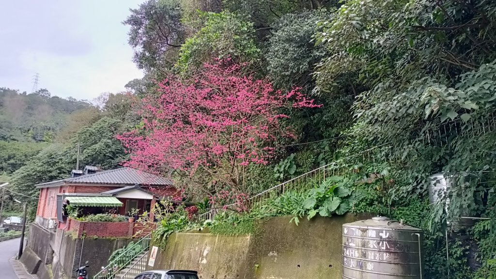 20250205_紅淡山封面圖