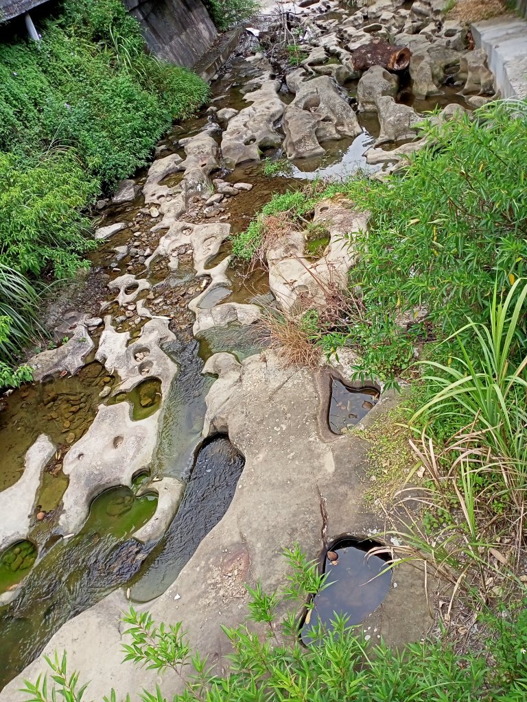 【新北-臺灣百大必訪步道】流水淙淙的三貂嶺瀑布群步道_1455474