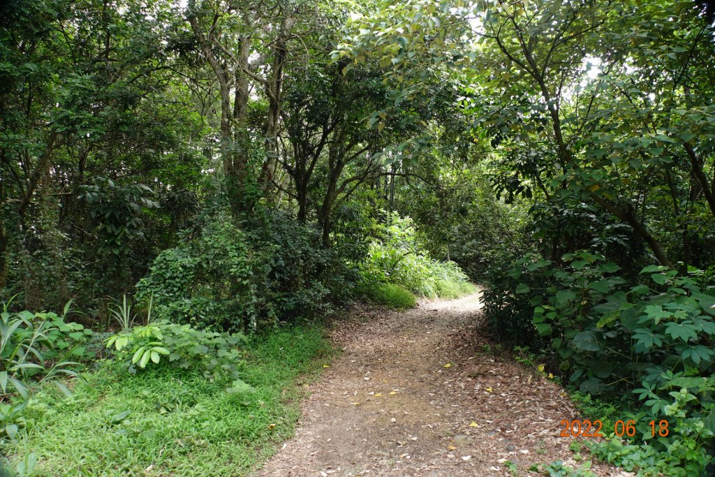 南投 草屯 大虎山_1737994