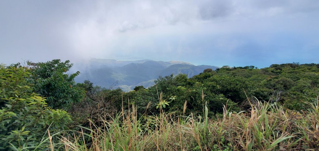 2023-01-27里龍山自然步道_2011113