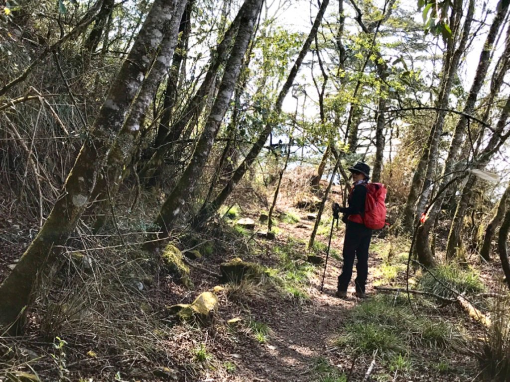 石山 石山引水道_551380