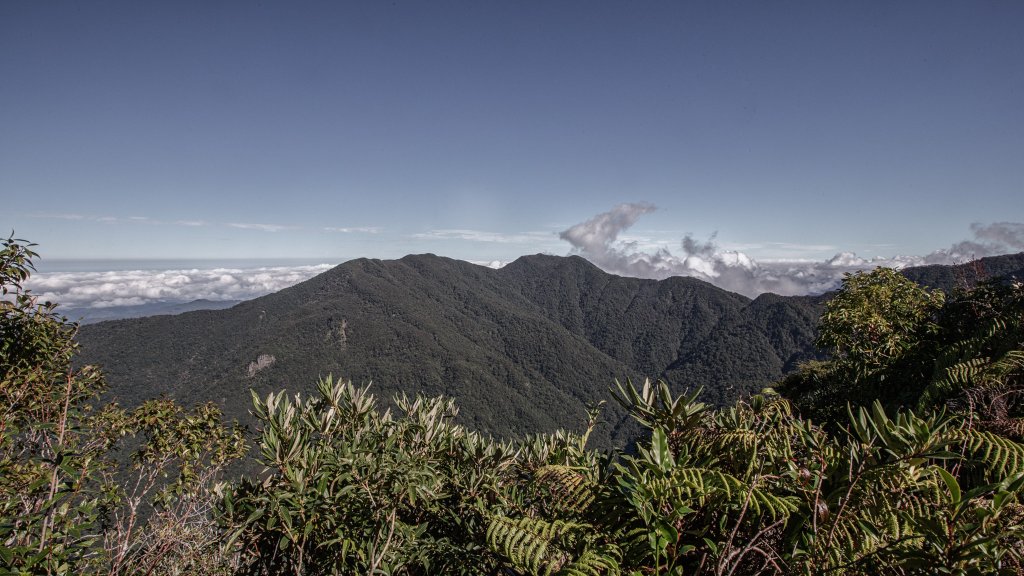 復興三尖之夫婦山 & 雪霧鬧部落_1921672