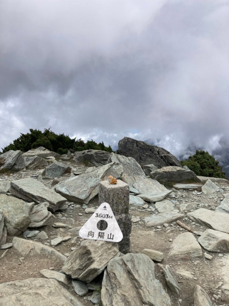 20220625台東海端向陽山、向陽山北峰、三叉山、嘉明湖_1745745