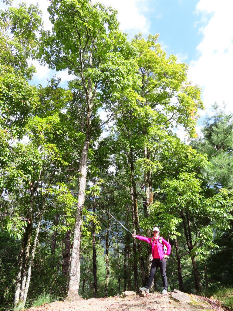 深秋武陵農場之旅（1）桃山瀑布步道_447276