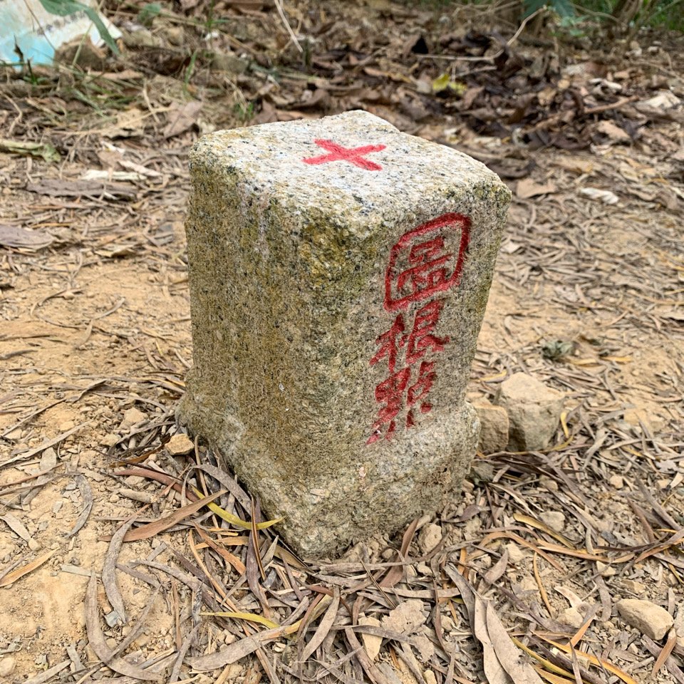 20260117台南阿拉溪斜瀑群縱走糖子恩山-水山頂山_2985077