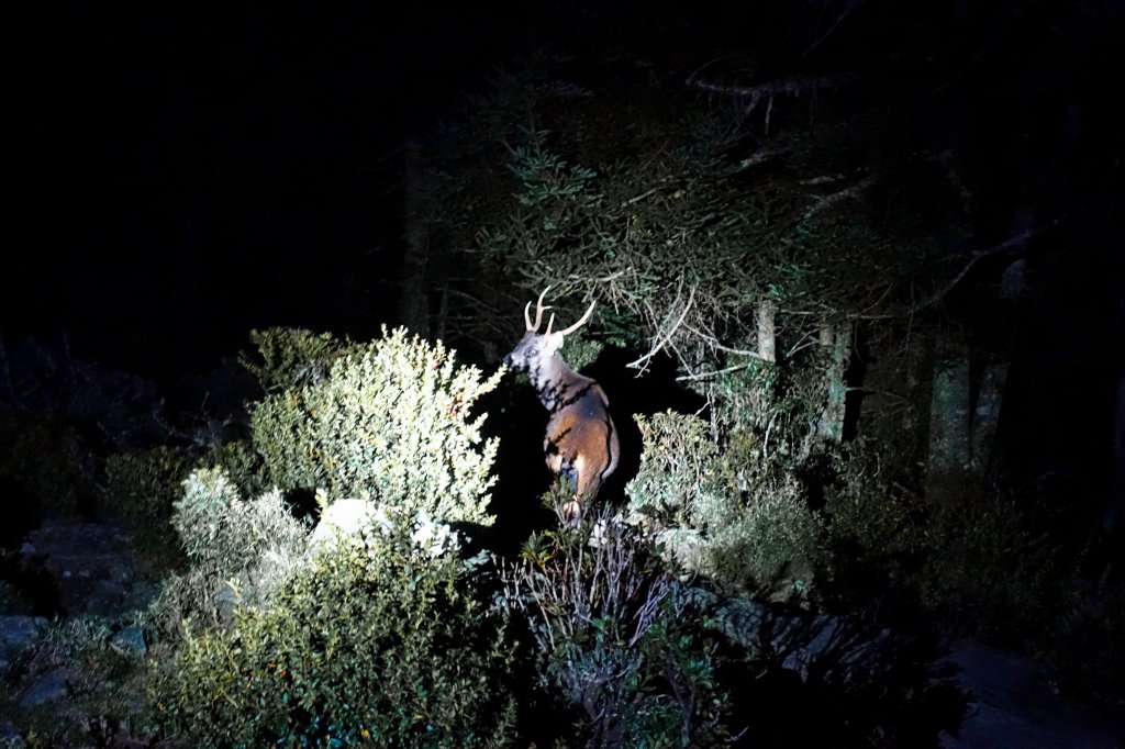 肌情嘉明湖2018.11.13~16_467525