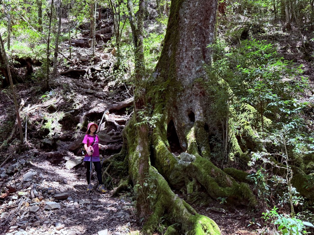 馬崙山 20250906_2889344