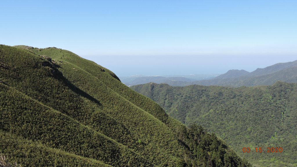 晴朗涼爽舒適/車道像停車場/步道人龍_879752