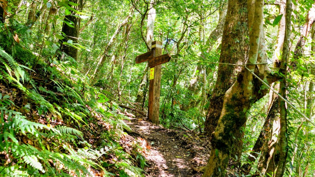 李棟山莊_2882498