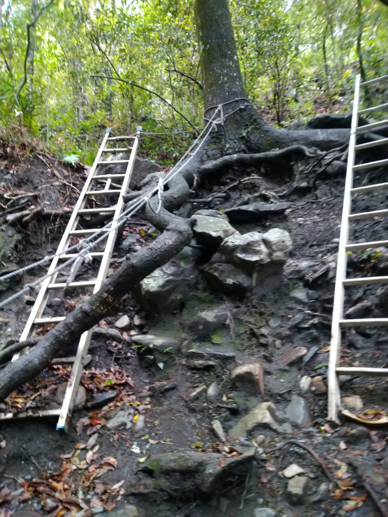 最愛的秘境0-帖比倫峽谷瀑布_1185802