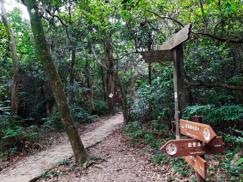 臺北大縱走4：雙溪溝古道段_1766158