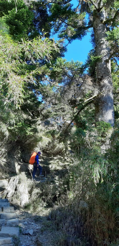 玉山前四峰之旅_869348