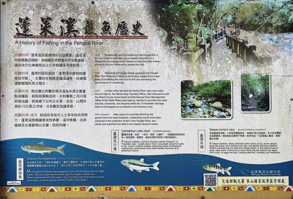 2025/03/16_蓬萊溪護魚步道+萊園坪山_2737563