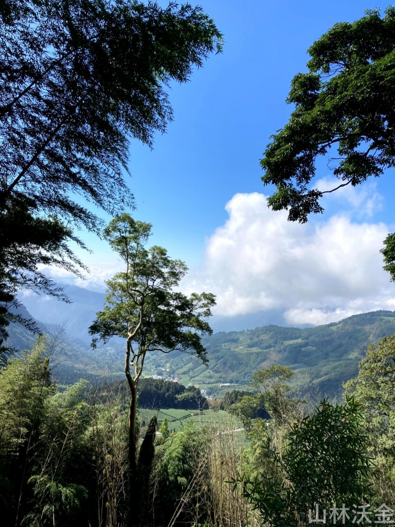 2023-10-29 頂湖直上大凍山_2330901