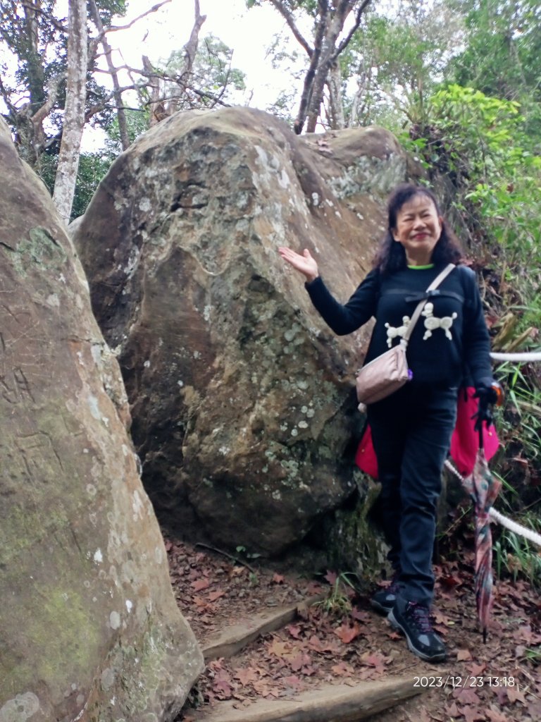 四訪苗栗的花果山-小百岳#037馬那邦山、雪霸國家公園管理處【小百岳集起來、苗栗-臺灣百大必訪步道】_2394360