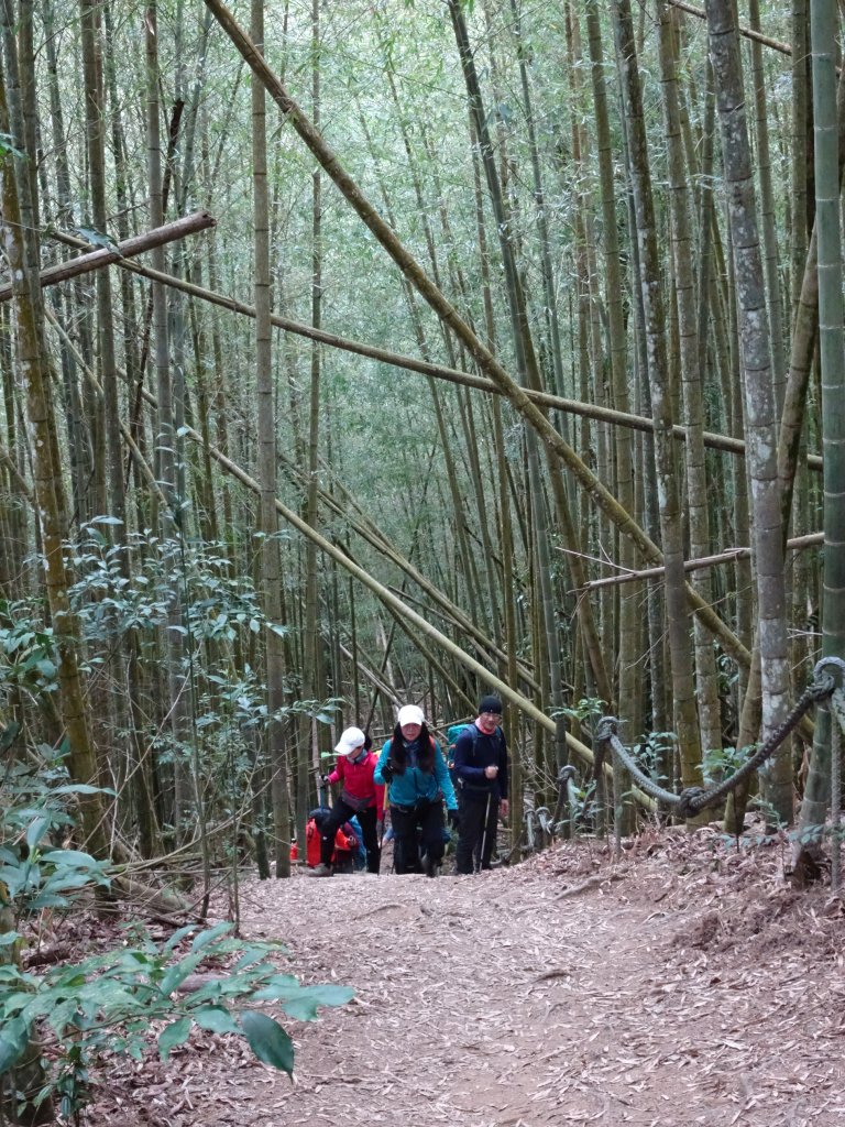 2022年02月13日(彰山協)南投日月潭四兄妹之中級山~大尖山縱走水社大山_1613482