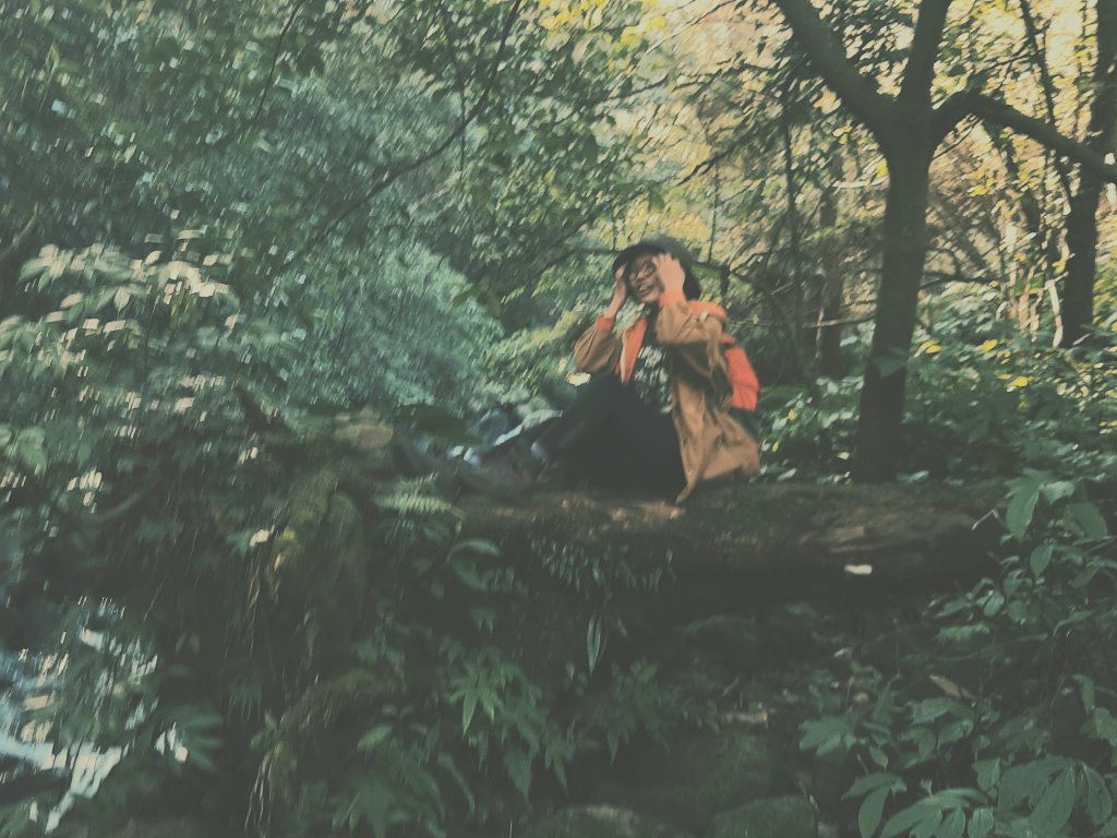 陽明山神秘綠境 • 鹿角坑保護區_2038658