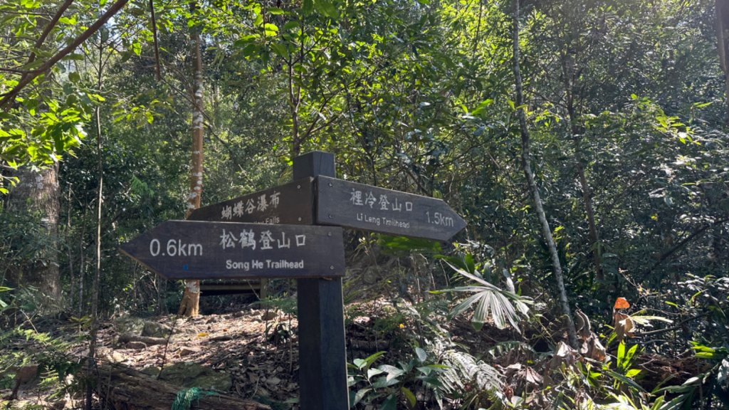 裡冷上唐麻丹O繞+蝴蝶谷_2742918