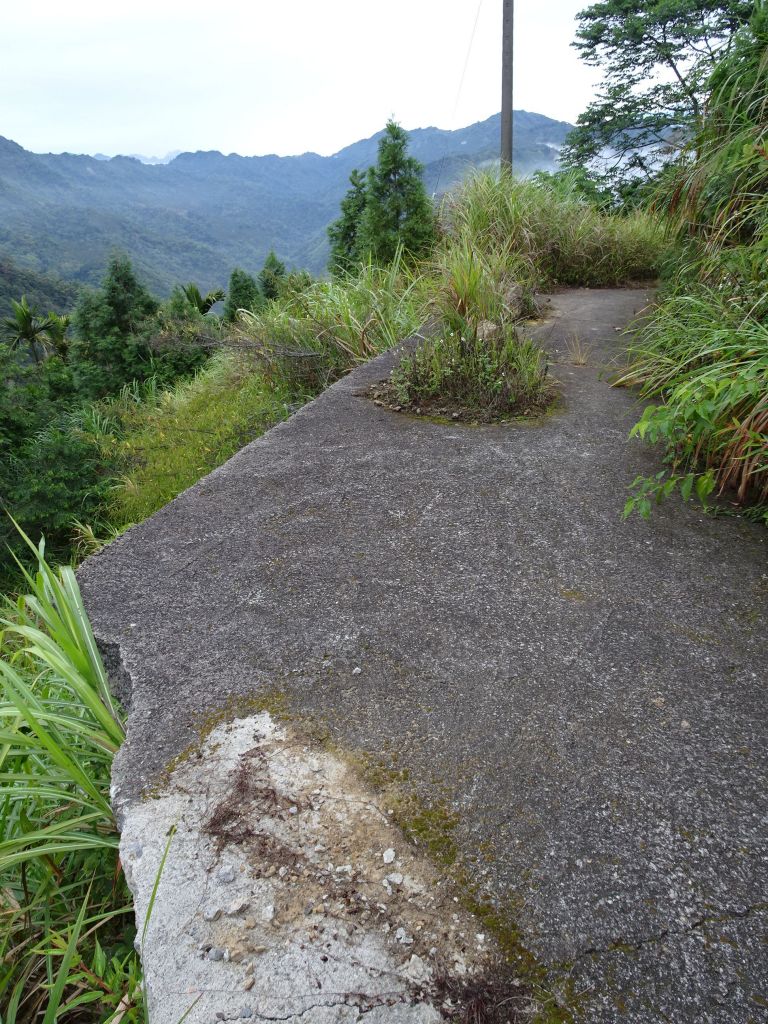 台灣小百岳第45座-南投國姓-大橫屏山_225189