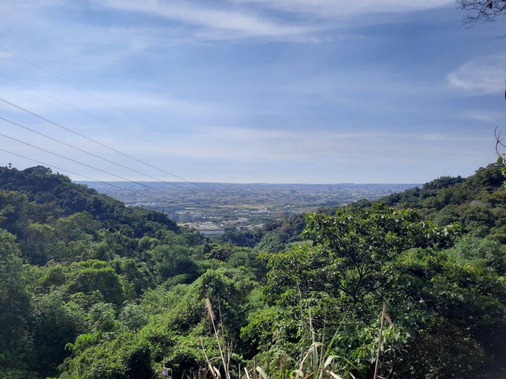 一日大坑_1030087