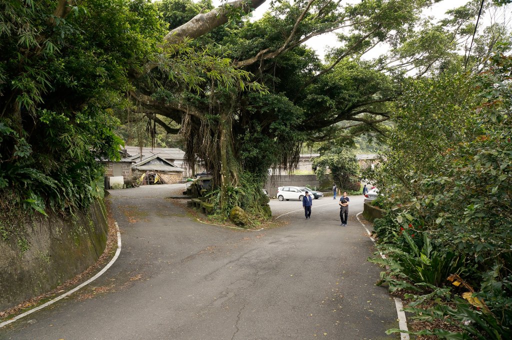 鹿窟尾山(內寮山)、桃源谷步道_610405