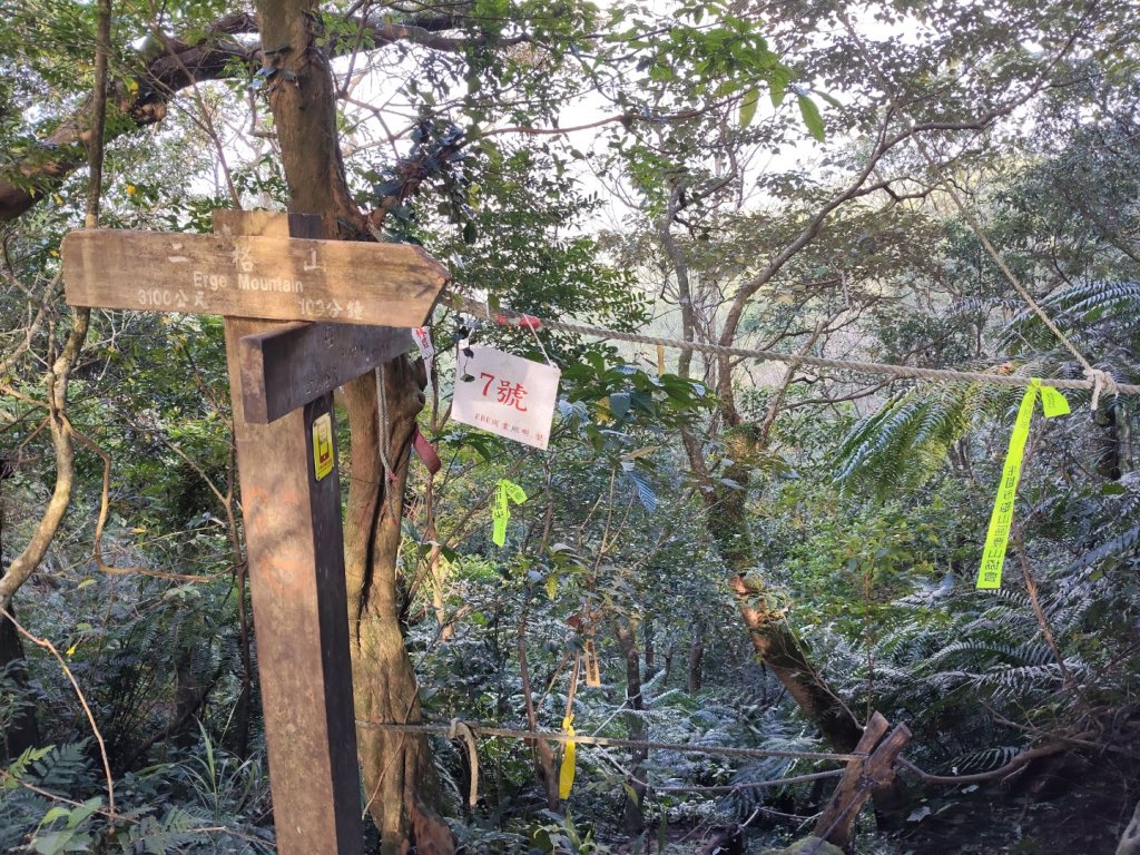 微笑山線：【二格山系】筆架連峰段_2963199