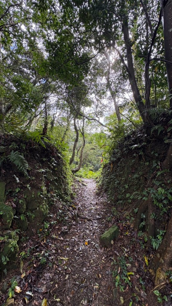 與猛禽共舞_3008390