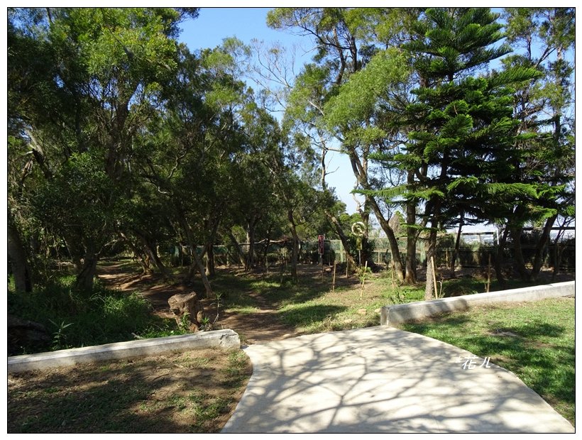  大甲/鐵砧山(小百岳)_819527