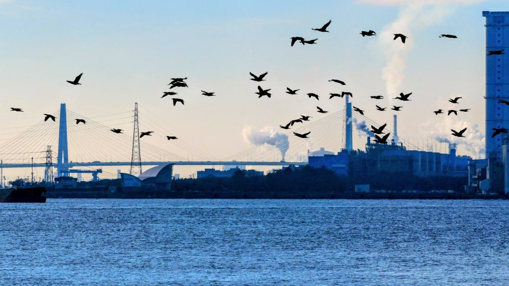 名古屋港邊的時空對白_2982676