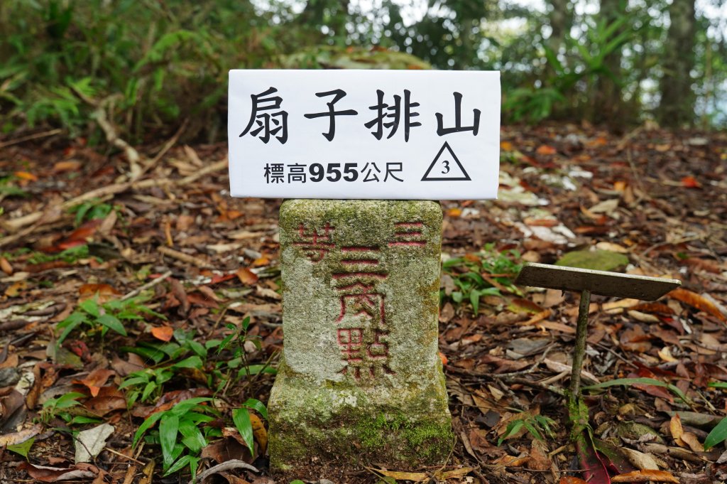 新竹 五峰 扇子排山封面圖