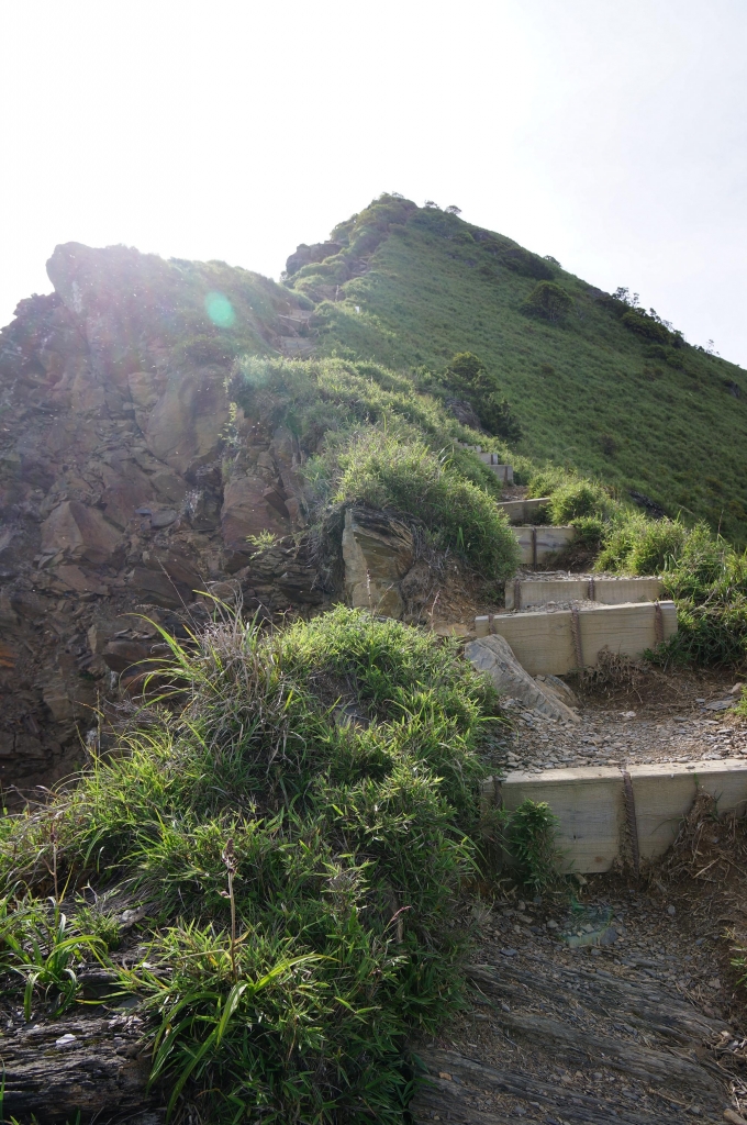 20140705差一點葛屁的合歡北西行_6827