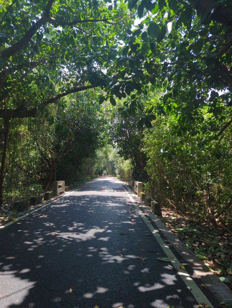 2025.07.26－霄裡好風光：觀音~新屋自行車道封面圖