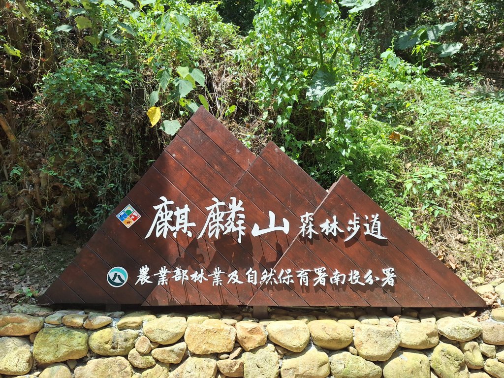 田中麒麟山森林步道20250817封面圖