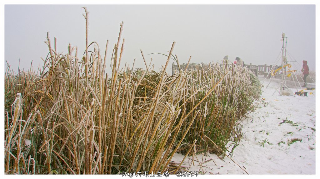 2021 大屯山之雪_1234806