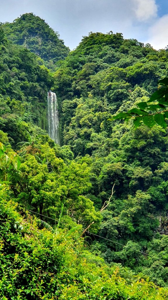 抹茶山，聖母登山步道，隆隆山，福卯古道，水柳腳登山步道，觀音台步道，北勢溪自行車道_1742194