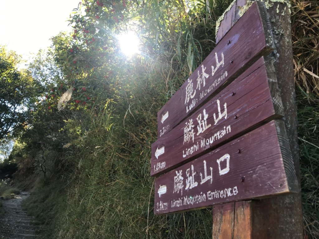 玉山前鋒！八百公尺到天堂的距離_751153