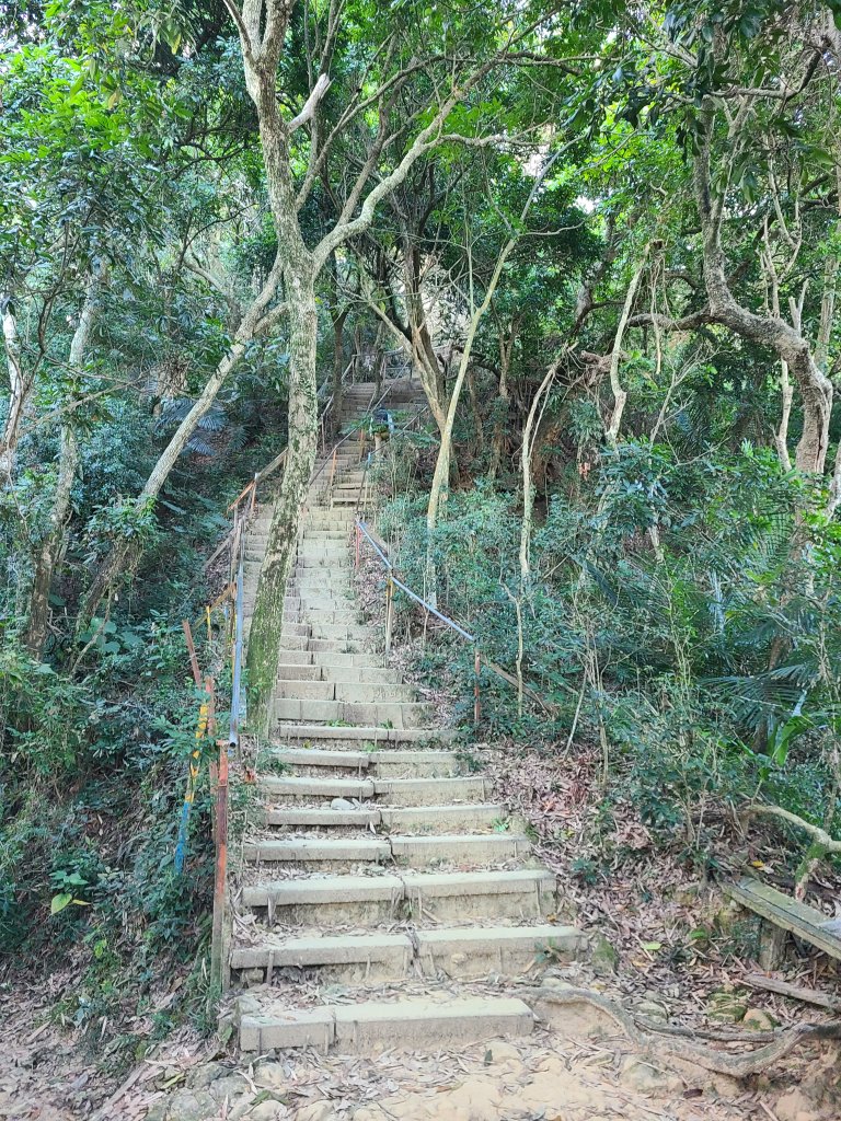 走了一個大O_2723389
