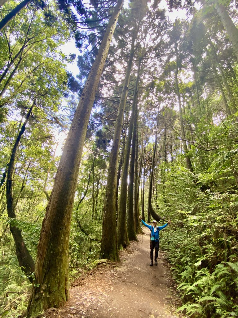 橫嶺山-沙蓮山-笛吹山連走    2022/7/5_1754736