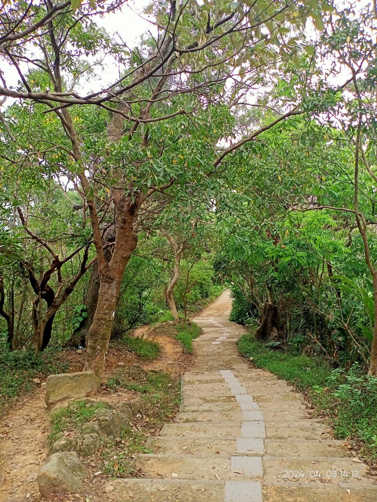 【臺北大縱走5 第二回合】碧山巖→忠勇山越嶺步道→金龍產業道路→圓明寺、鄭成功廟步道→文間山→劍潭山_2472453