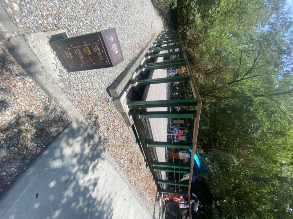 20200727 貓仔們之白楊步道探索_1068176