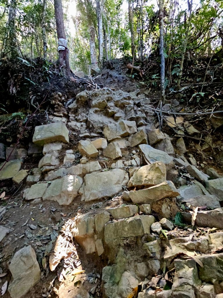 白毛山-谷關七雄(老六)_3015211