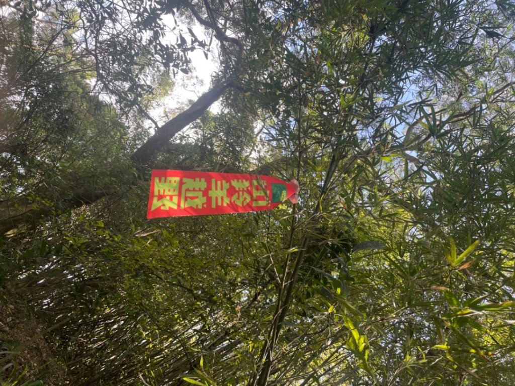 鶯桃縱走_2441617