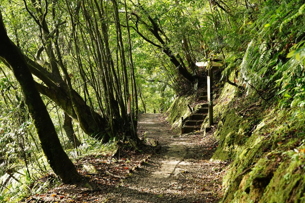 新北 平溪 嶺腳寮山_2601050