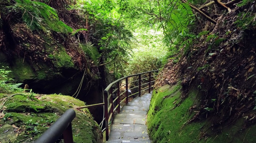 豹山環型步道封面圖