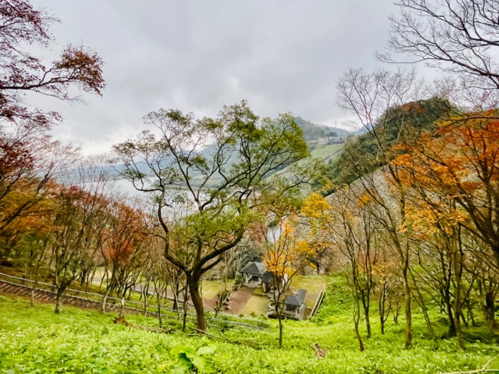 1111229太平山-清水坑山-石門山。石門水庫楓槭林_1974694