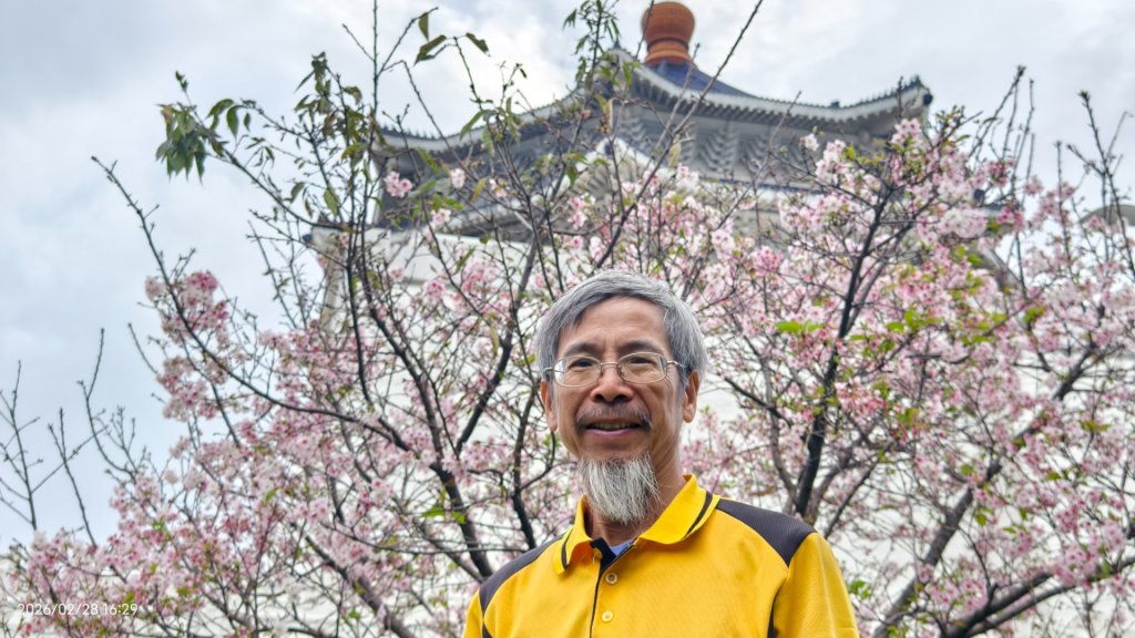 #士林官邸 #鬱金香 #中正紀念堂 #大漁櫻 2/28_3007987